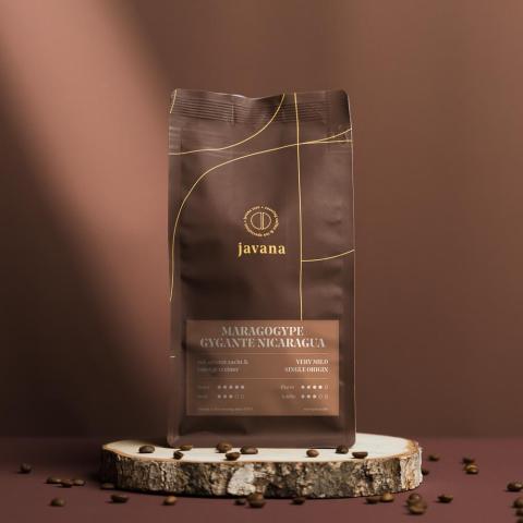 Maragogype Gygante Nicaragua